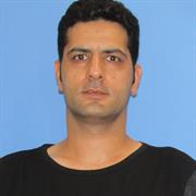 Ehsan Amini | About | University of Florida